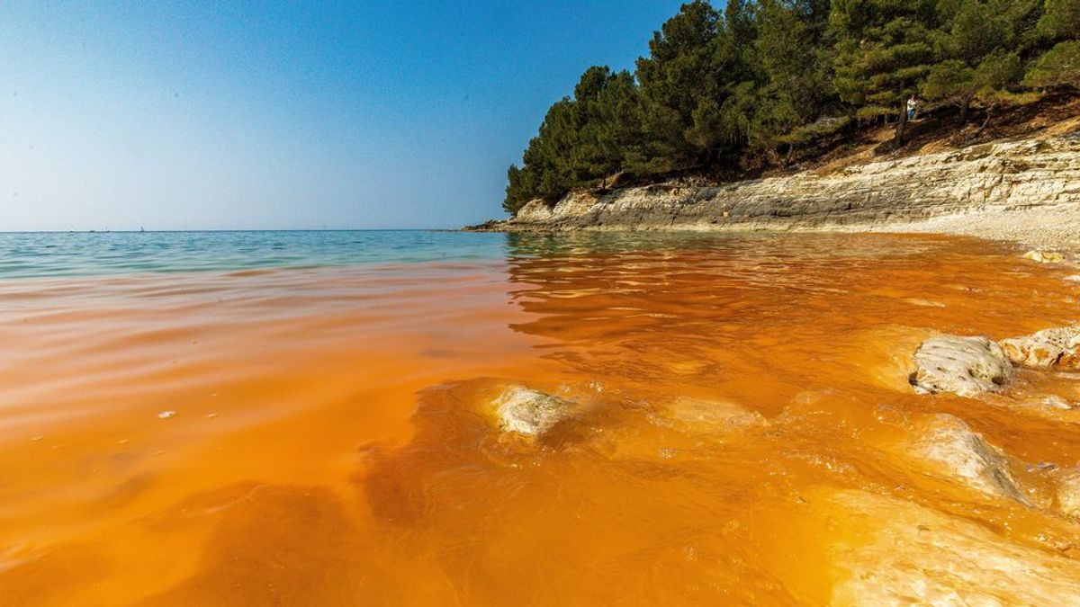 La costa de Croacia se tiñe de naranja: ¿qué ha causado este cambio de color repentino?