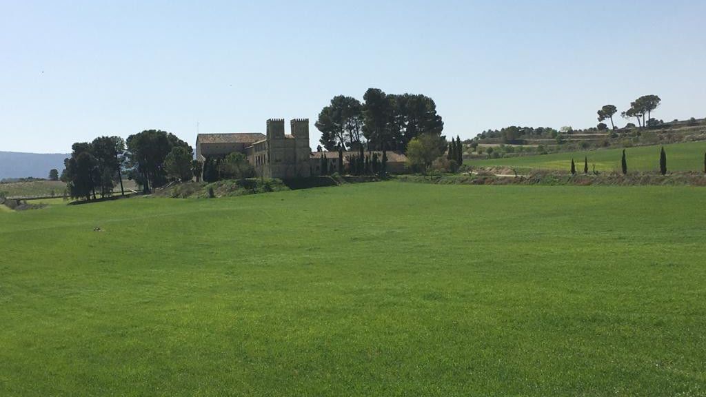 Ramón vive en este cortijo de Moixent (Valencia), rodeado de hectáreas de campos de olivos y cereales