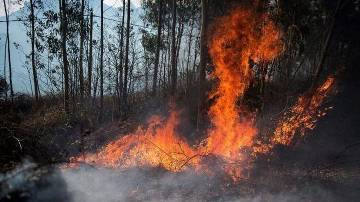 EuropaPress_3575254_incendio_forestal_cantabria EuropaPress_3575254_incendio_forestal_cantabria