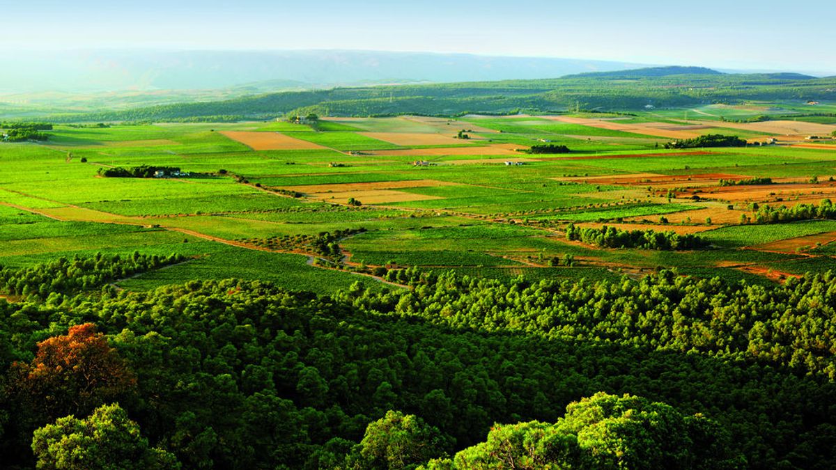 'Terres dels Alforins', paraje conocido tambien como la Toscana valenciana