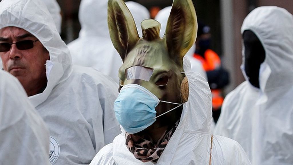 Numerosos altercados en una manifestación contra las restricciones del coronavirus en Suiza Numerosos altercados en una manifestación contra las restricciones del coronavirus en Suiza
