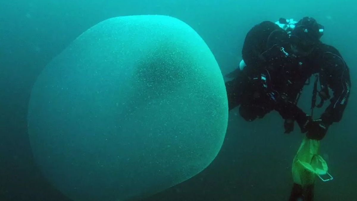 Misterio resuelto: un estudio descubre que estos ‘sacos’ gelatinosos contienen miles de huevos de calamar