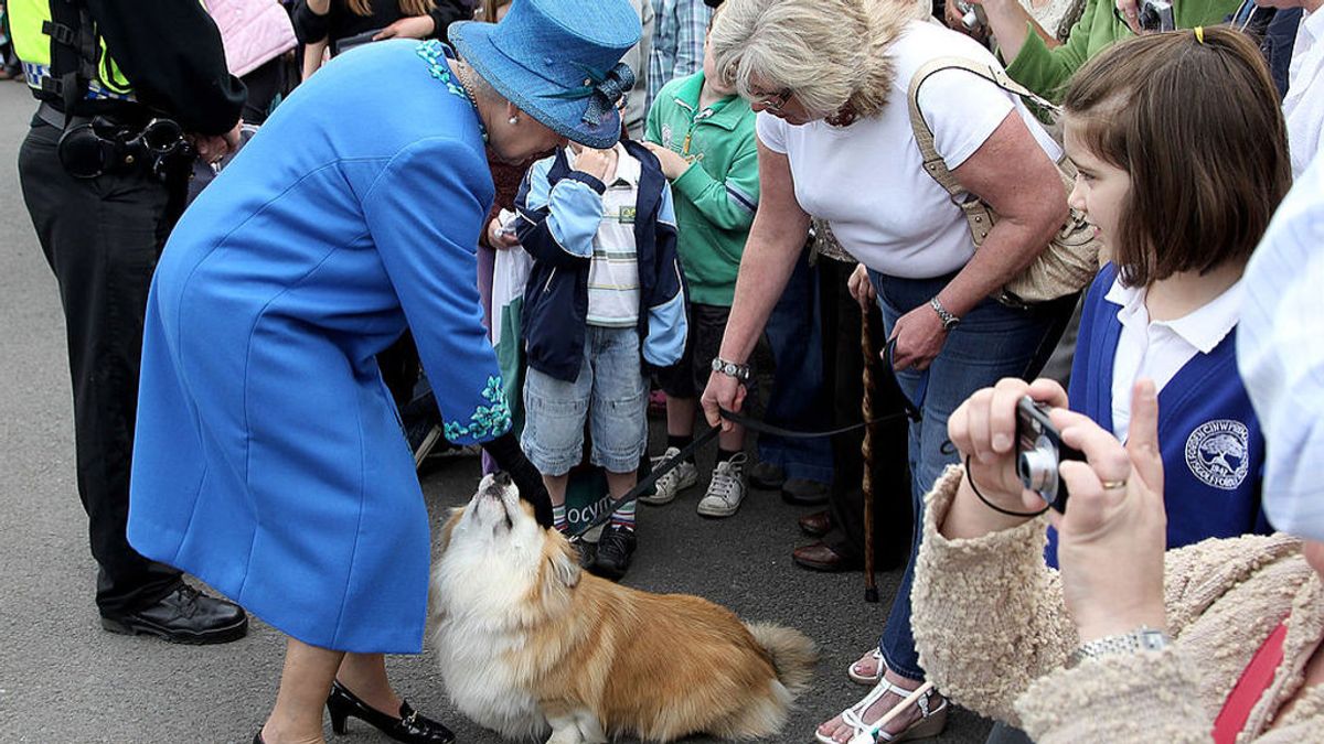 La reina Isabel II escribía las cartas de sus corgis a su exescudero Sir Blair Stewart-Wilson, según un documental La reina Isabel II escribía las cartas de sus corgis a su exescudero Sir Blair Stewart-Wilson, según un documental