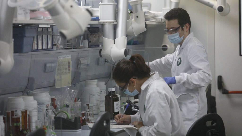 Varios trabajadores en el laboratorio de la fábrica de Reig Jofre, en Barcelona Varios trabajadores en el laboratorio de la fábrica de Reig Jofre, en Barcelona