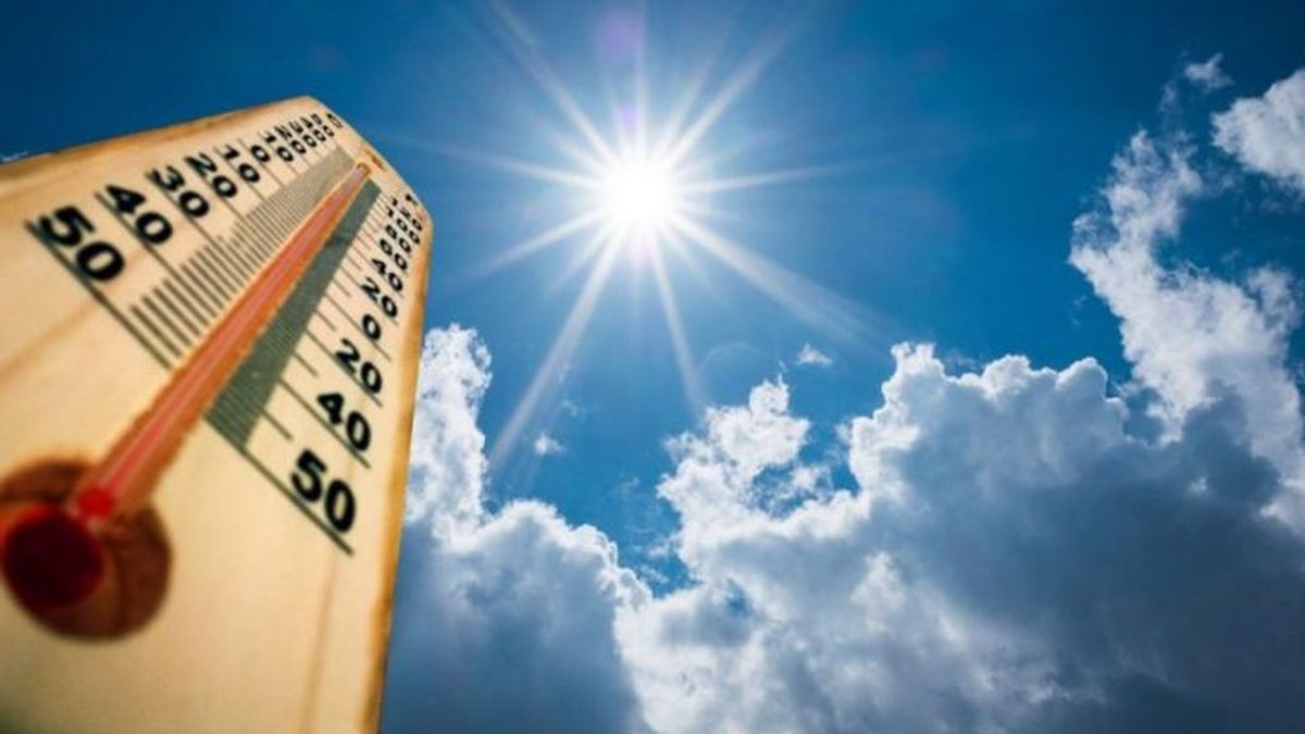 Del invierno al verano en 24 horas: "Vivimos una montaña rusa de temperaturas" Del invierno al verano en 24 horas: "Vivimos una montaña rusa de temperaturas"