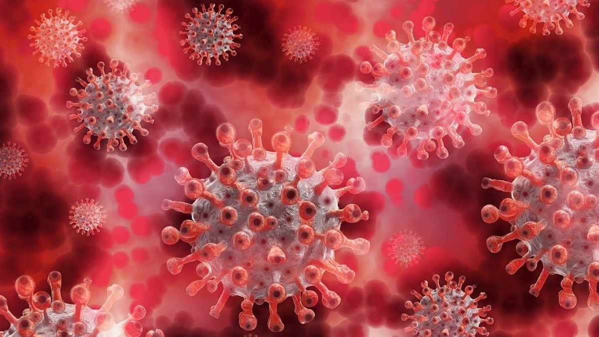 Científicos de la ONU advierten: puede haber 1,7 millones de virus desconocidos en la naturaleza