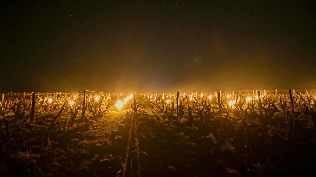 ¿Por qué están quemando cultivos los agricultores franceses?
