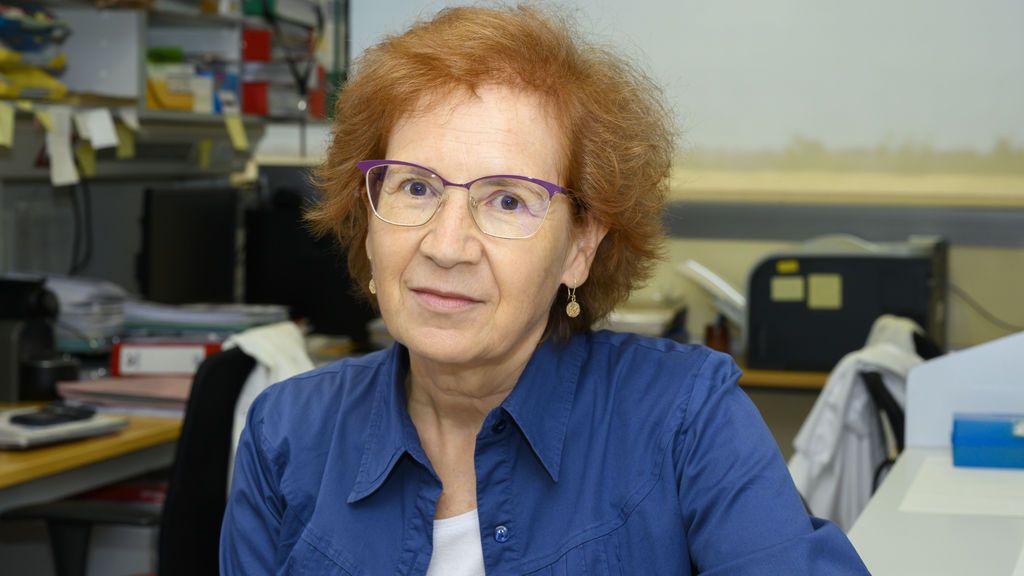 csic