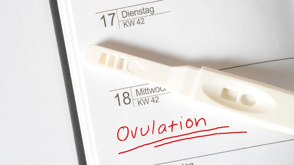 Cómo usar un kit de prueba de ovulación: toda la información paso a paso para hacerlo en casa sin problema.