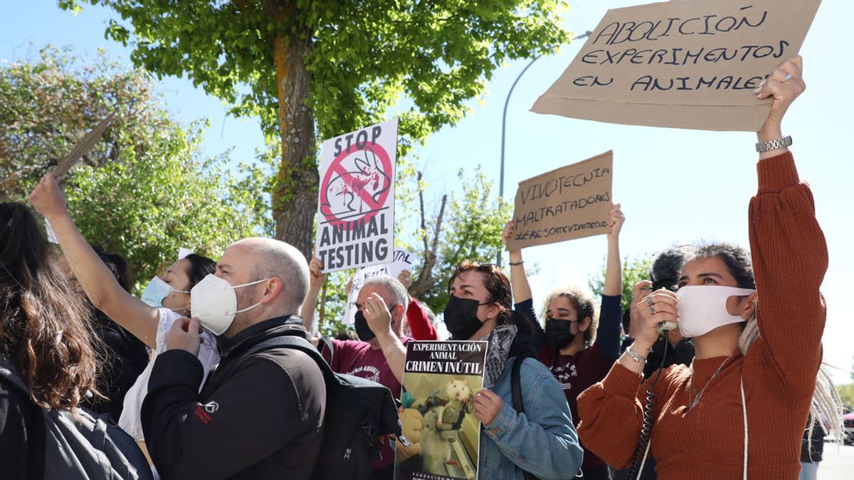 Los animalistas de PACMA presentan una querella criminal contra el laboratorio Vivotecnia