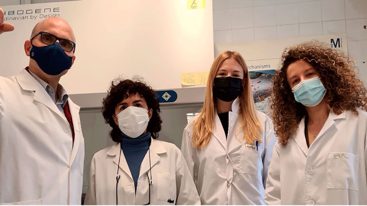 La Ciencia vaciada en España:  Entre  laboratorios que se cierran y  talentos que se van
