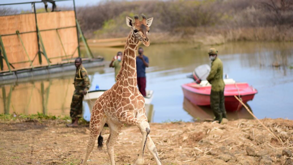 Five-months-old-little-Noelle-getting-of-the-barge-on-the-mainland-of-Ruko-Community-Conservancy-Baringo-Kenya-3-scaled