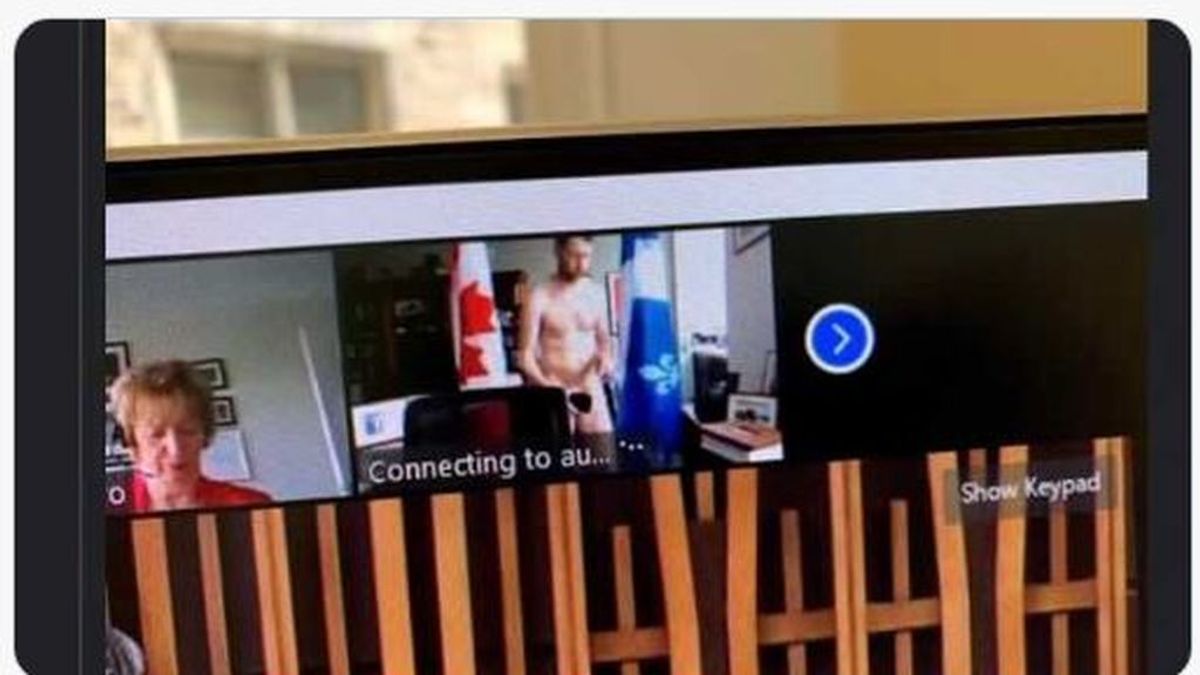 Un diputado canadiense aparece desnudo en una sesión virtual del Parlamento por un descuido