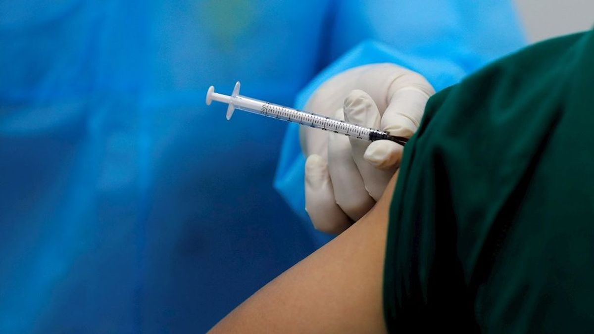 Más de 200.000 expertos piden a los políticos que no paren la vacunación sin atender a criterios científicos Más de 200.000 expertos piden a los políticos que no paren la vacunación sin atender a criterios científicos