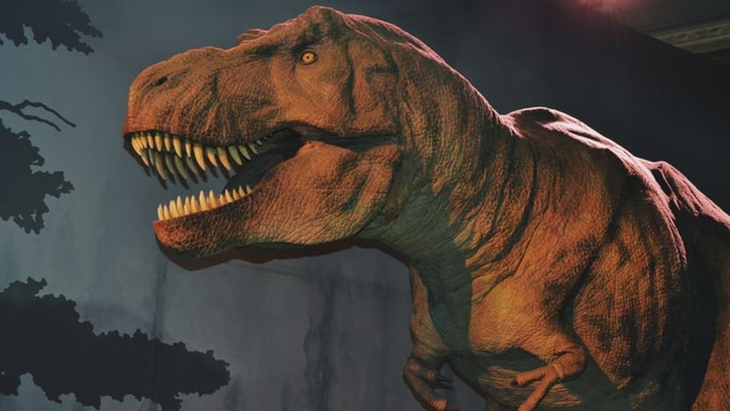 photo-1579197073550-bf44b469a6fe