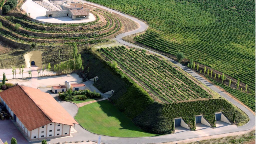 Trigal de bodega Valduero