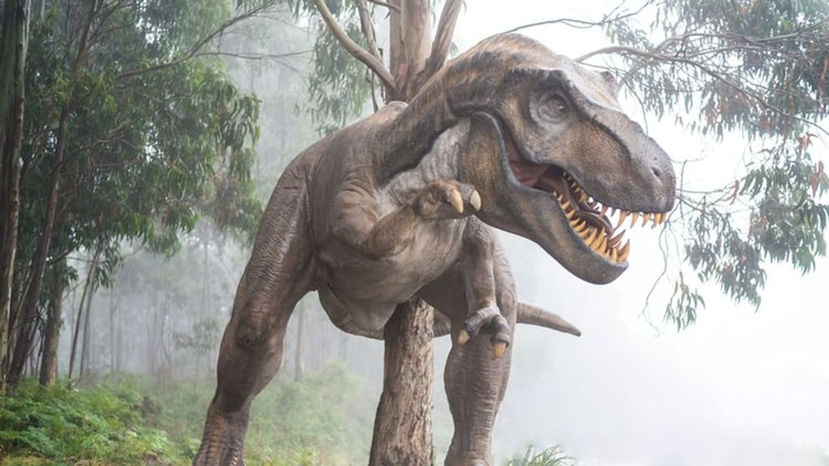 Un estudio revela la aterradora cifra de dinosaurios T. Rex que ha vivido en la Tierra