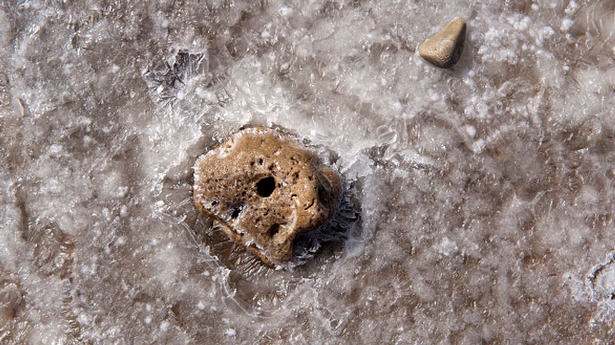 Descubren la más antigua fábrica de extracción de sal de Gran Bretaña de hace 6.000 años