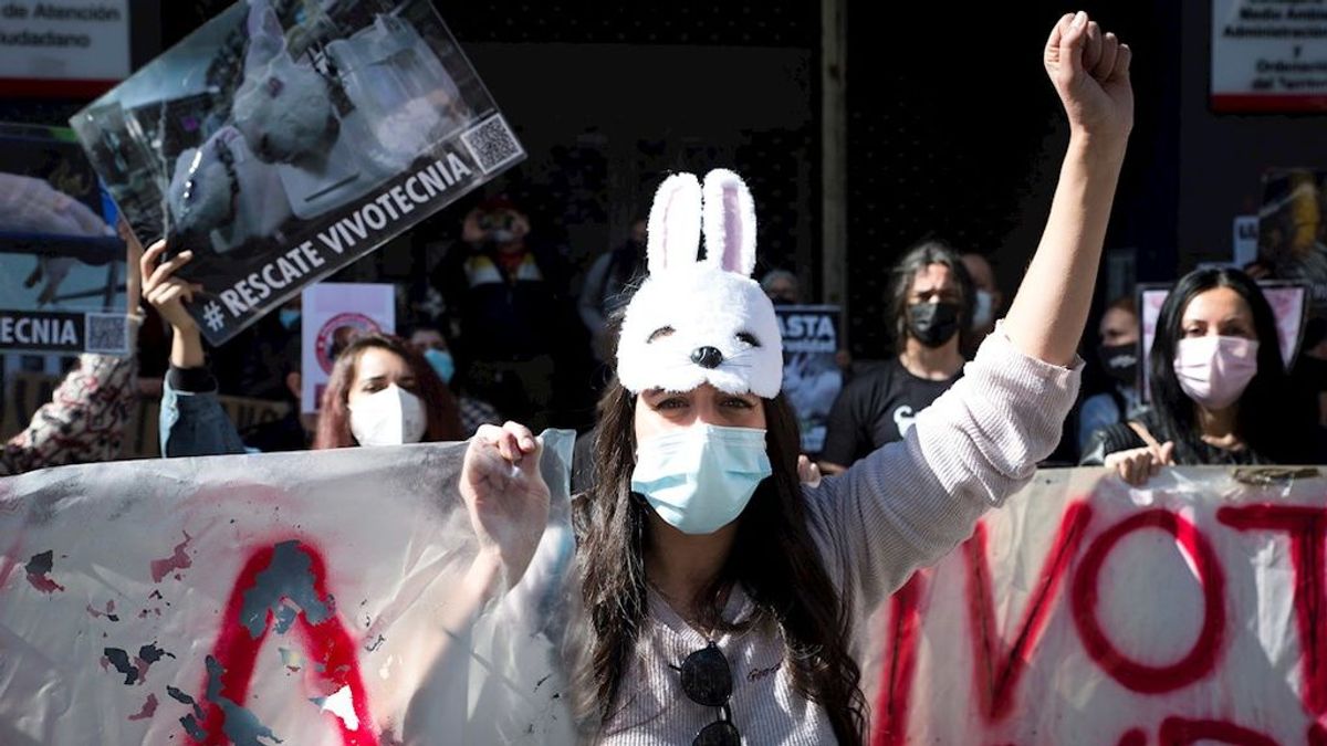 Decenas de personas piden en Madrid la liberación de los animales de Vivotecnia Decenas de personas piden en Madrid la liberación de los animales de Vivotecnia