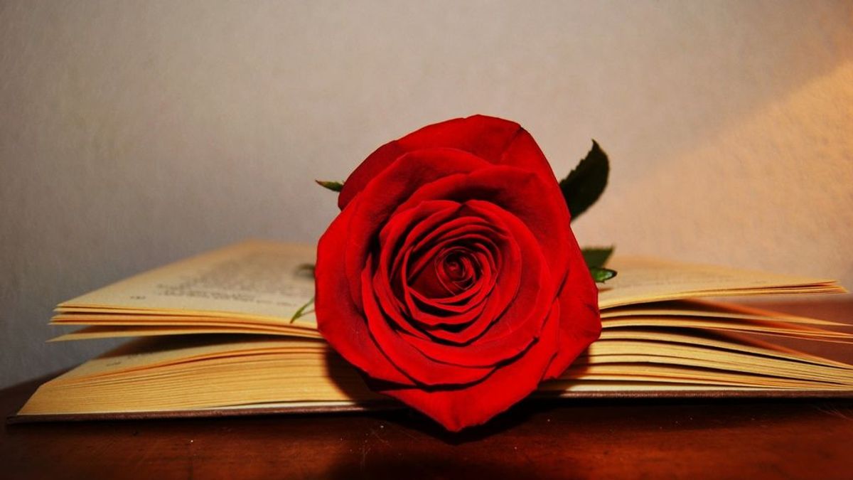 Cómo se celebrará Sant Jordi este 2021 Cómo se celebrará Sant Jordi este 2021