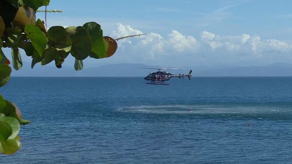 La audiencia decide, con sus votos a través de la web, que Palito se convierta en superviviente