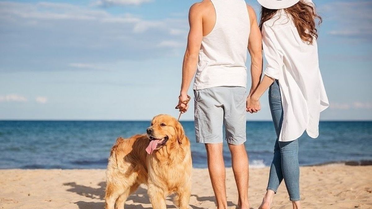 ¿Quién se queda con la mascota? Custodia compartida para los animales en casos de separación o divorcio ¿Quién se queda con la mascota? Custodia compartida para los animales en casos de separación o divorcio
