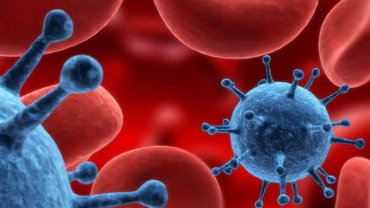 La vacuna hace menos efectos en pacientes con cáncer de la sangre que con tumores sólidos La vacuna hace menos efectos en pacientes con cáncer de la sangre que con tumores sólidos