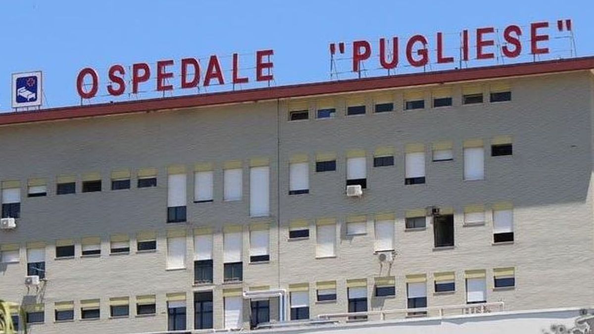 El rey del escaqueo: el italiano que ha estado 15 años sin ir a trabajar pero cobrando puntualmente El rey del escaqueo: el italiano que ha estado 15 años sin ir a trabajar pero cobrando puntualmente
