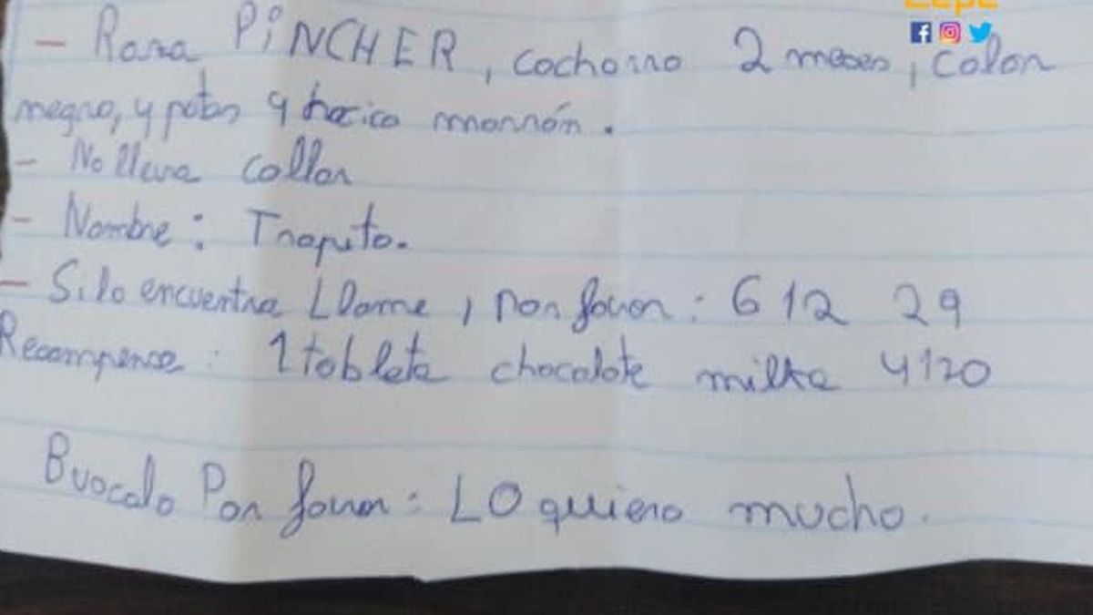 “Encuentren a Trapito. Recompensa: tableta de chocolate”: el SOS de una niña de Lepe que ha perdido a su perro “Encuentren a Trapito. Recompensa: tableta de chocolate”: el SOS de una niña de Lepe que ha perdido a su perro