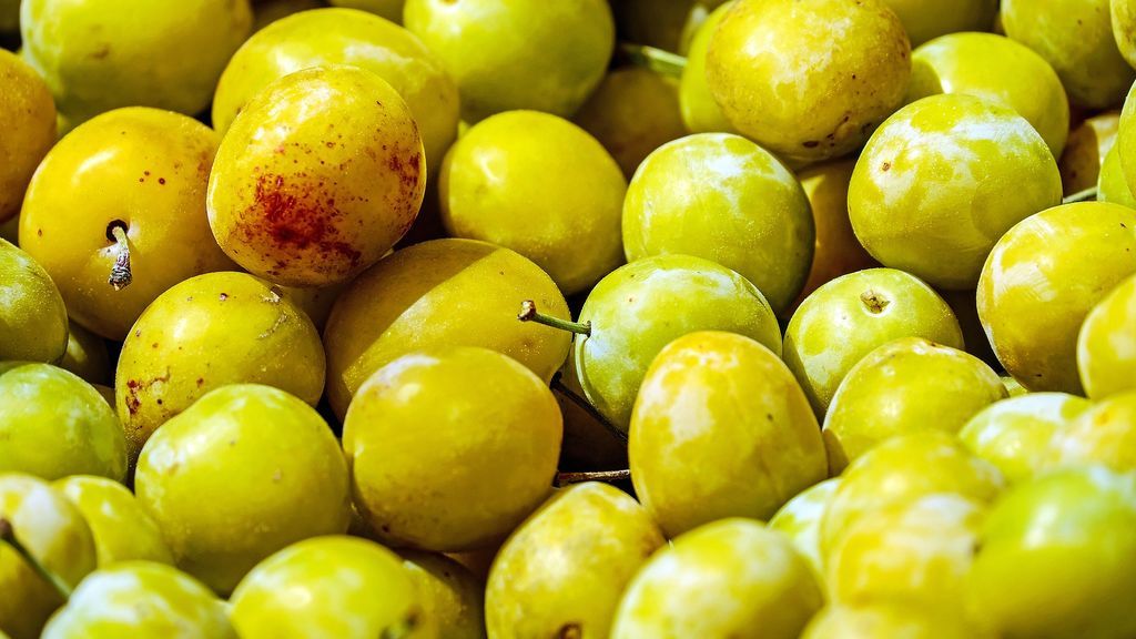 yellow-plums-1595378_1920