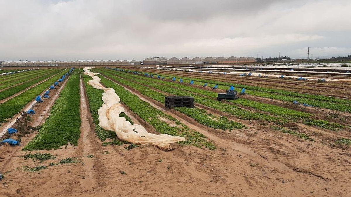 Muere un hombre al ser alcanzado por un rayo cuando trabajaba en el campo en Murcia Muere un hombre al ser alcanzado por un rayo cuando trabajaba en el campo en Murcia