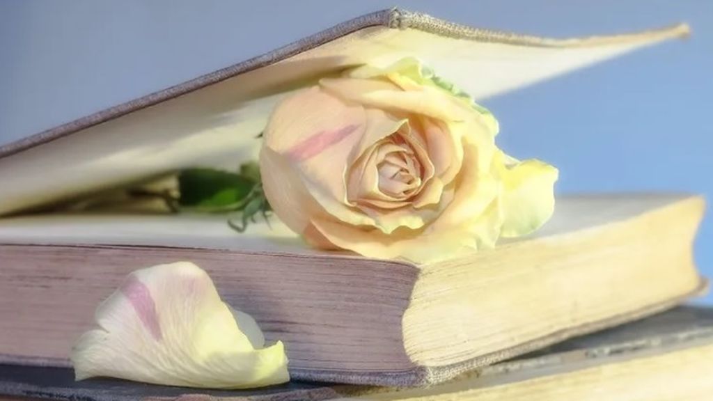 El origen de la tradición de regalar un libro y una rosa en Sant Jordi