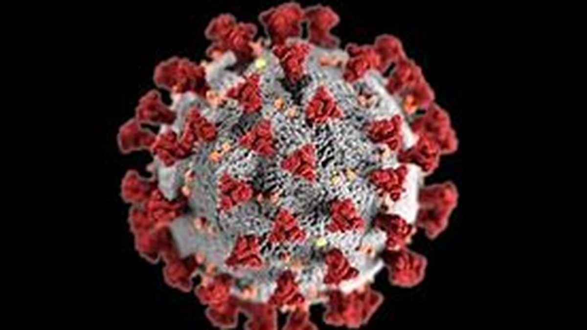 Científicos desenmascaran una nueva diana de anticuerpos neutralizantes en la proteína clave del coronavirus