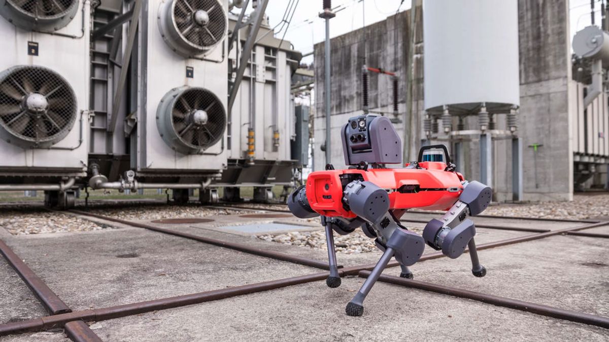 ANYmal D, el perro robot que promete revolucionar la industria