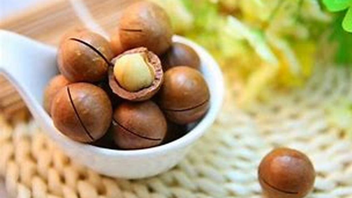 Beneficios de las nueces de macadamia en tu alimentación diaria