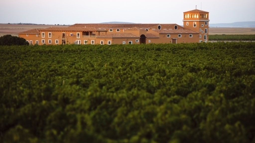 Viñedo Bodega Los Aljibes