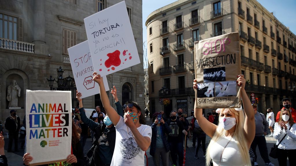 Cientos de personas se manifiestan en Barcelona contra el uso de animales en laboratorios Cientos de personas se manifiestan en Barcelona contra el uso de animales en laboratorios