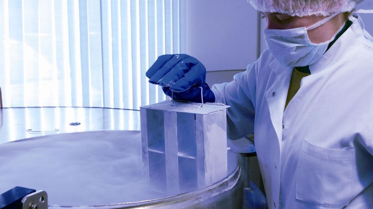 Unos padres reclaman una indemnización por la pérdida del cordón umbilical de su hija con hemofilia: "Es irremplazable" Unos padres reclaman una indemnización por la pérdida del cordón umbilical de su hija con hemofilia: "Es irremplazable"