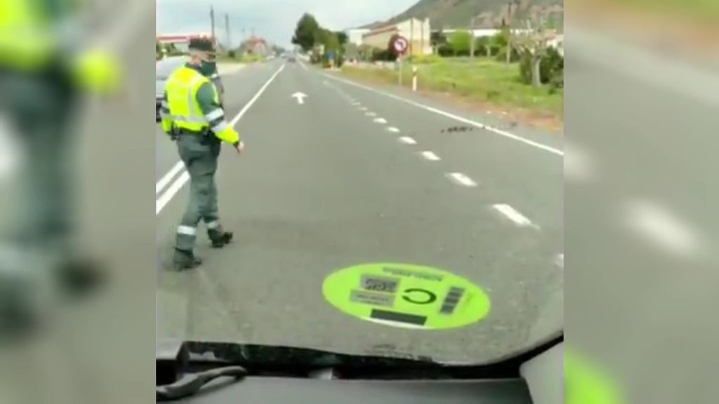 La Guardia Civil corta una carretera nacional en La Rioja para que pase una familia de patos