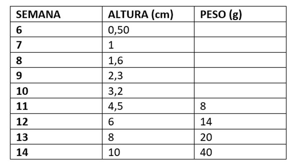 Tabla de crecimiento primer trimestre.