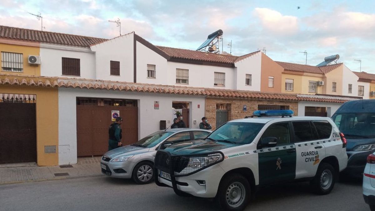 El teletrabajo del narco: detenidos en Cádiz seis miembros de una organización que cultivaba marihuana en sus viviendas