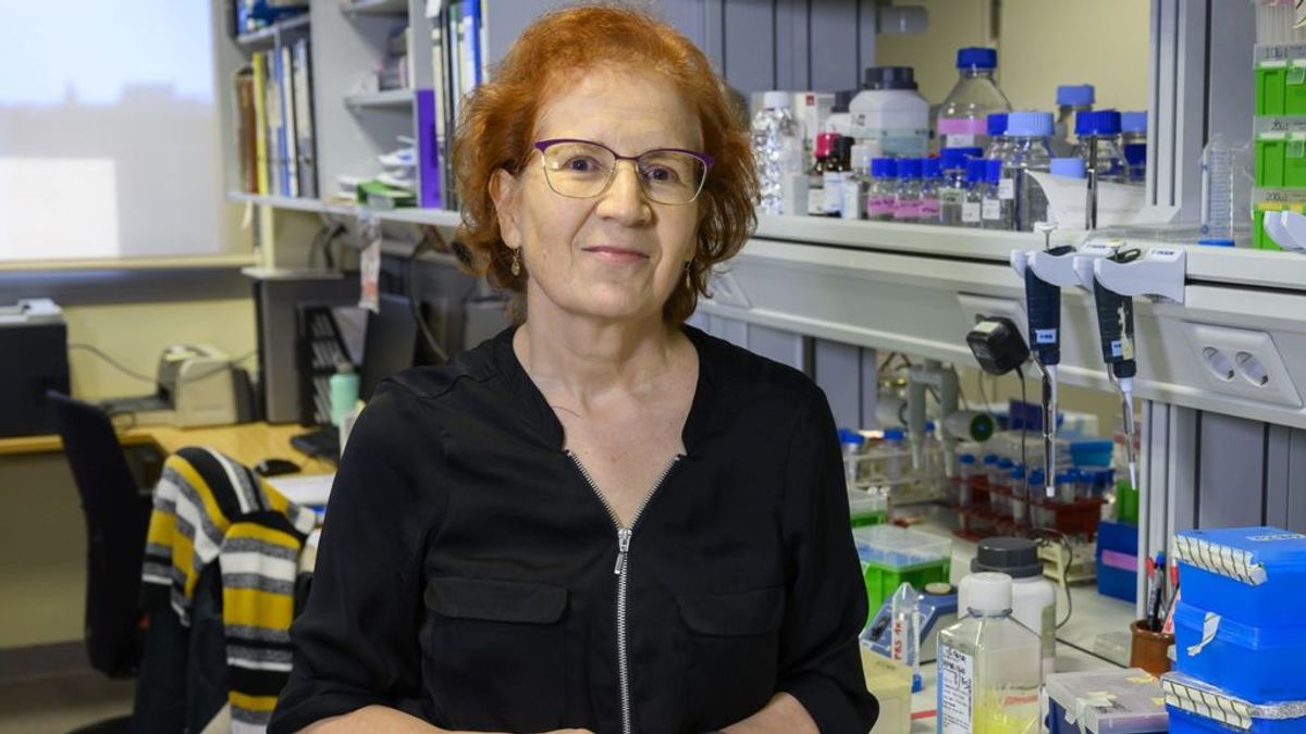 Margarita del Val, viróloga: “Si la Pfizer no es efectiva a largo plazo es mejor descártala y vacunar con otras fórmulas más seguras” Margarita del Val, viróloga: “Si la Pfizer no es efectiva a largo plazo es mejor descártala y vacunar con otras fórmulas más seguras”