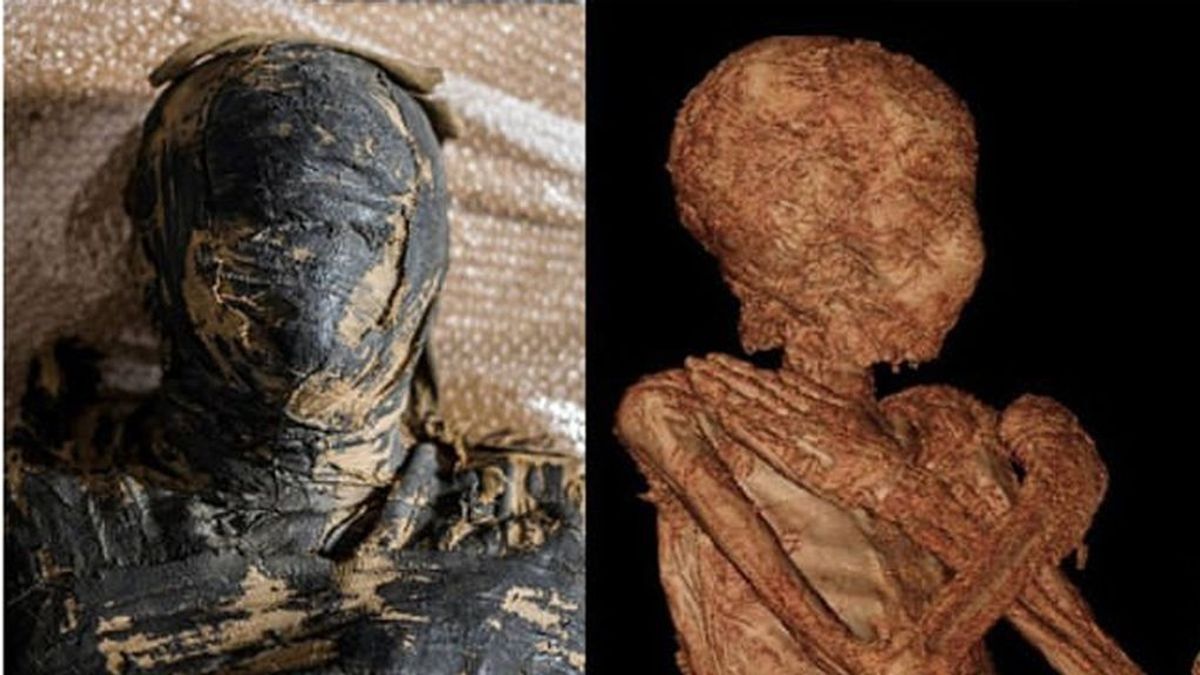 Descubren los primeros restos de una momia egipcia embarazada