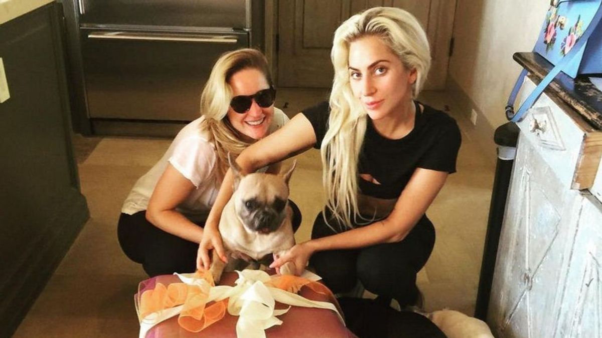 Cinco detenidos como presuntos autores del secuestro de los perros de Lady Gaga Cinco detenidos como presuntos autores del secuestro de los perros de Lady Gaga
