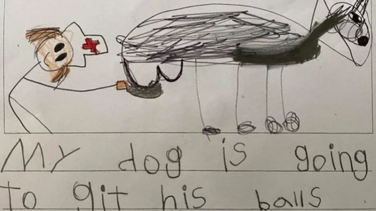 El dibujo de un niño sobre su perro que hace reír a los profesores