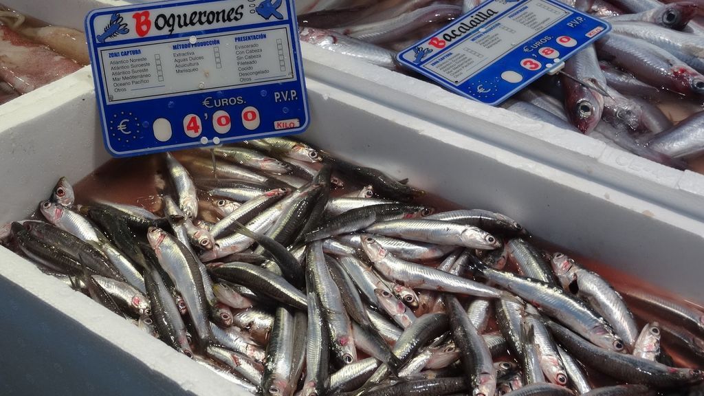 preparacion-boquerones