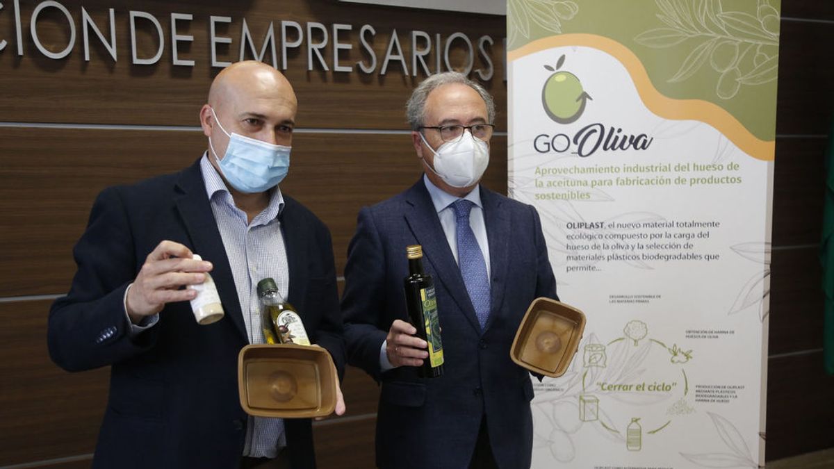 El hueso de la aceituna: ¿El plástico del futuro? El hueso de la aceituna: ¿El plástico del futuro?