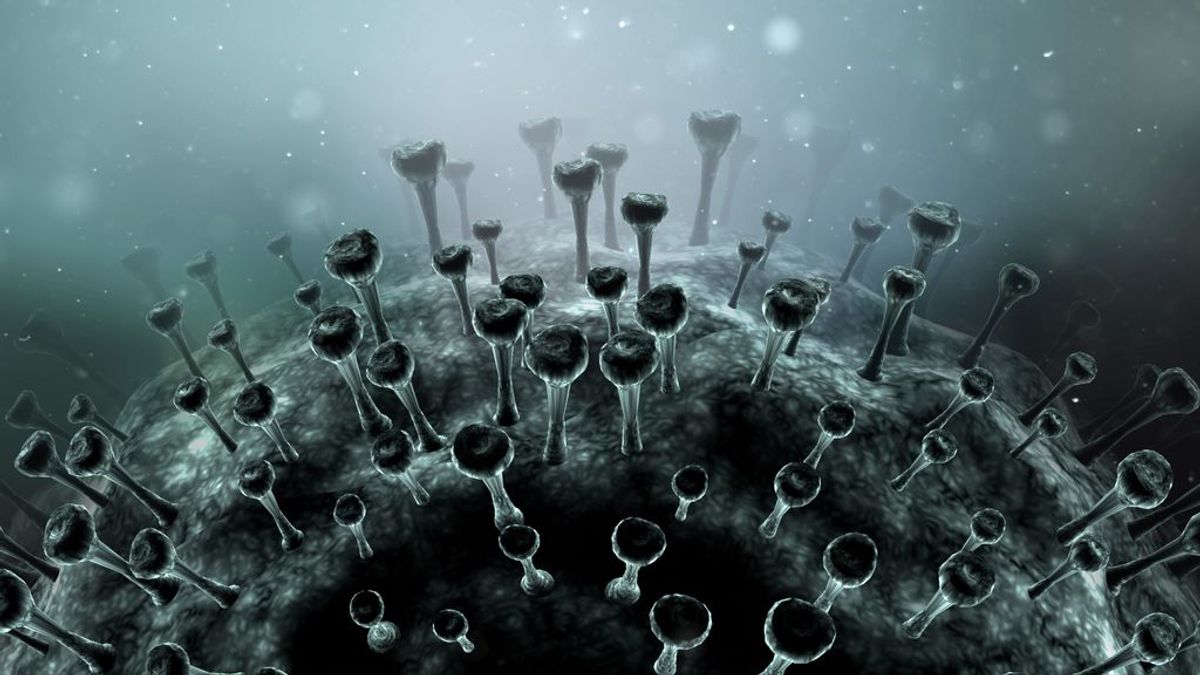 Un estudio científico apunta a que el coronavirus es en realidad una enfermedad vascular y no respiratoria Un estudio científico apunta a que el coronavirus es en realidad una enfermedad vascular y no respiratoria