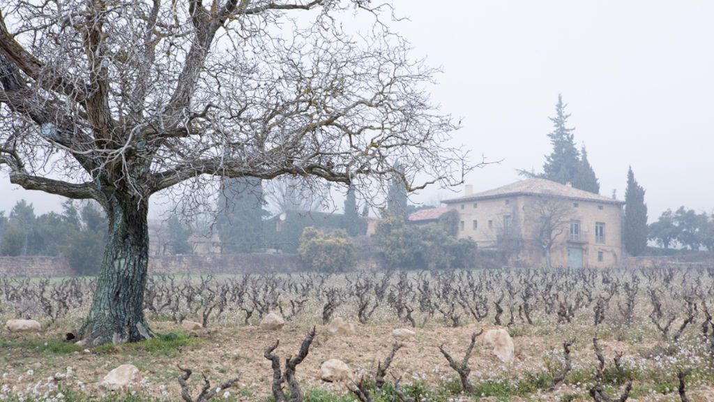 Bodega Remelluri