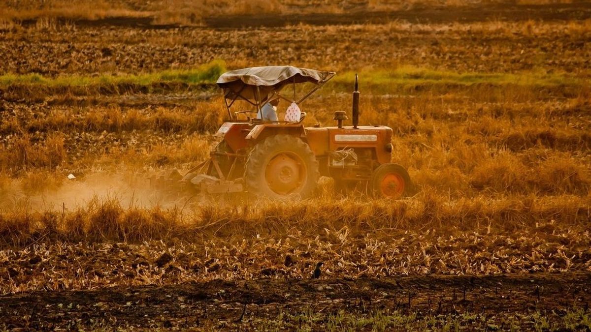 Un hombre de 79 muere al quedar atrapado por la rueda de un tractor Un hombre de 79 muere al quedar atrapado por la rueda de un tractor
